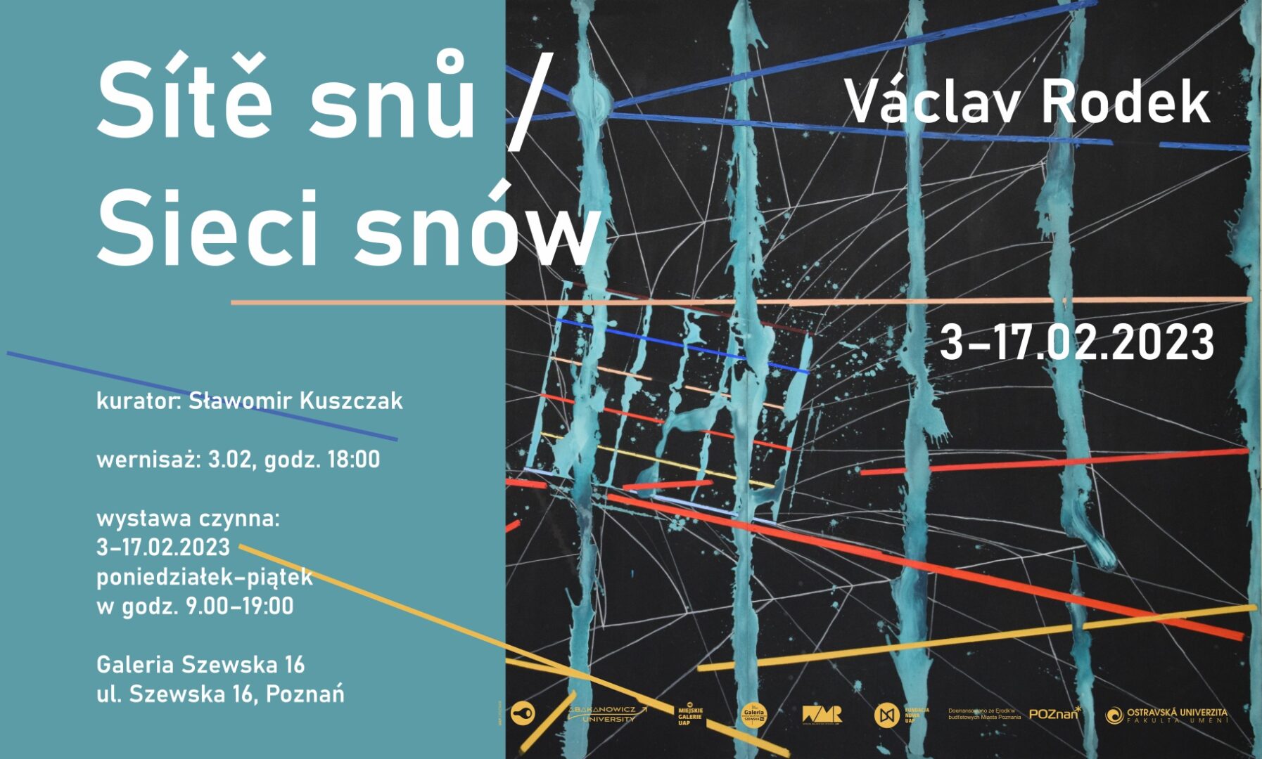 plakat sieci snow