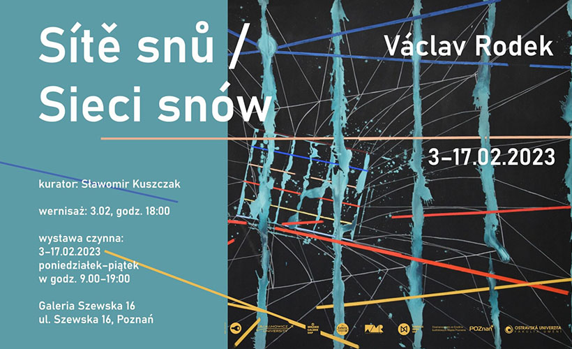 plakat sieci snow