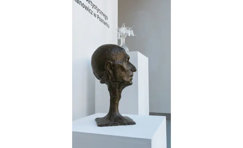 zdjęcie z wystawy Adnotacje