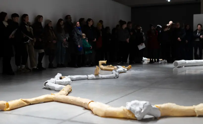 zdjęcie z wystawy arteriosum