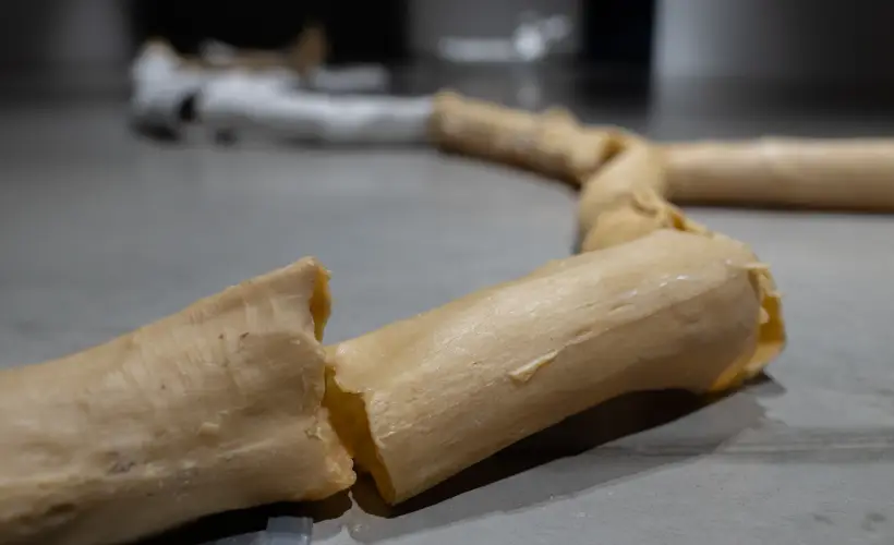 zdjęcie z wystawy arteriosum