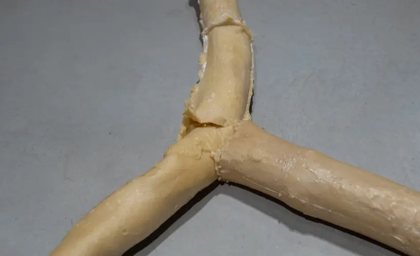 zdjęcie z wystawy arteriosum