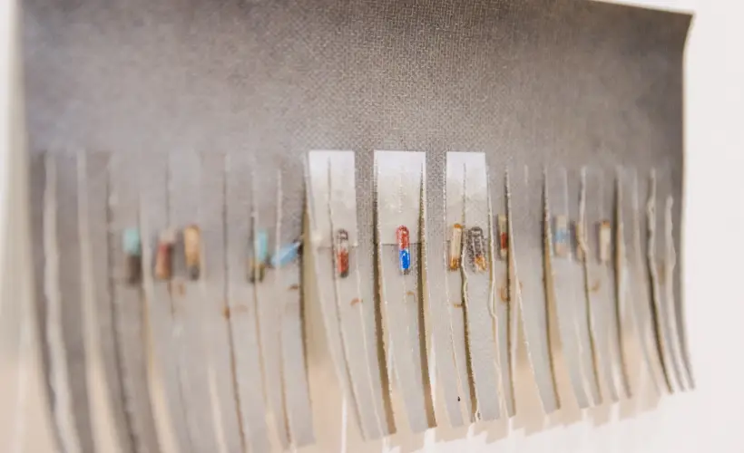 zdjęcie z wystawy Pharmasee